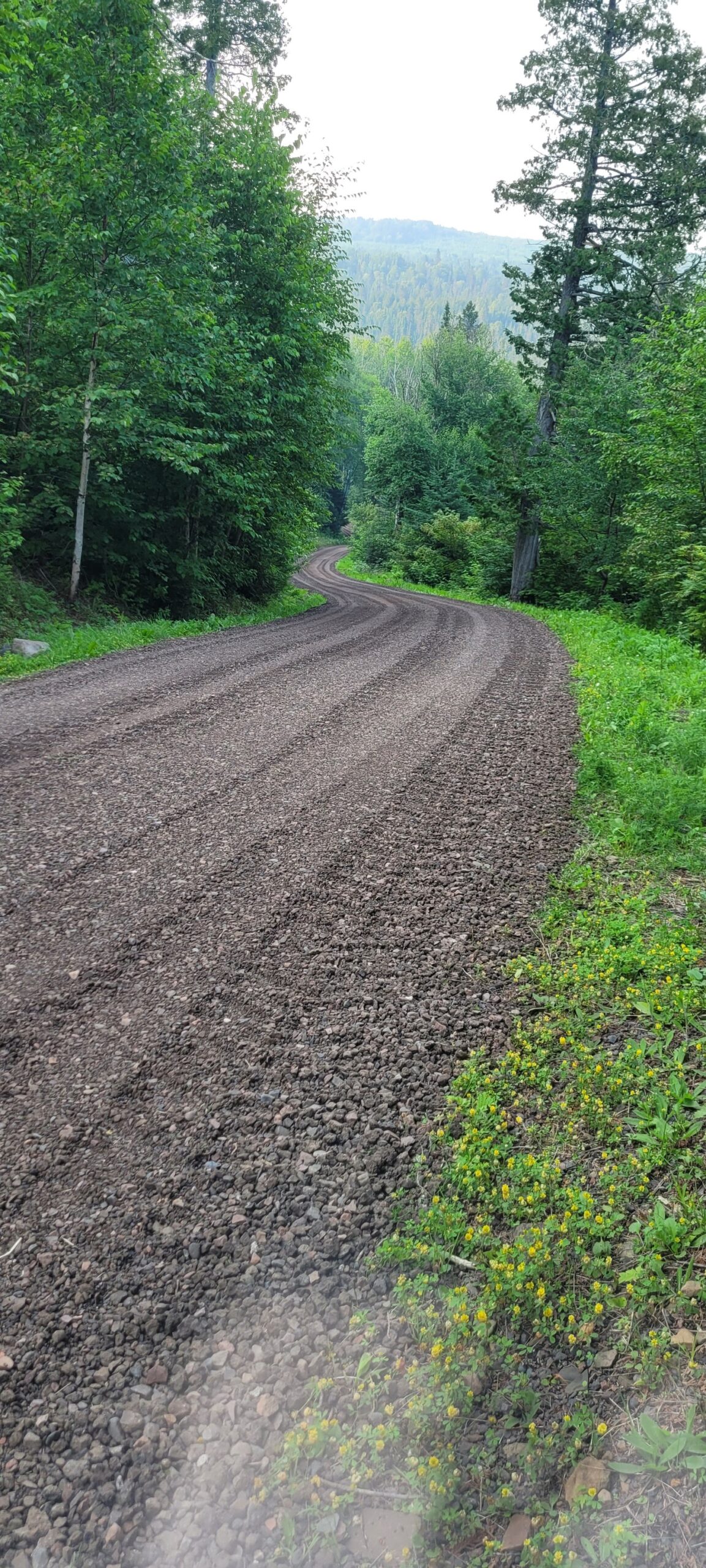 Expert Land Management in Pine County, MN Supports Better Property Use