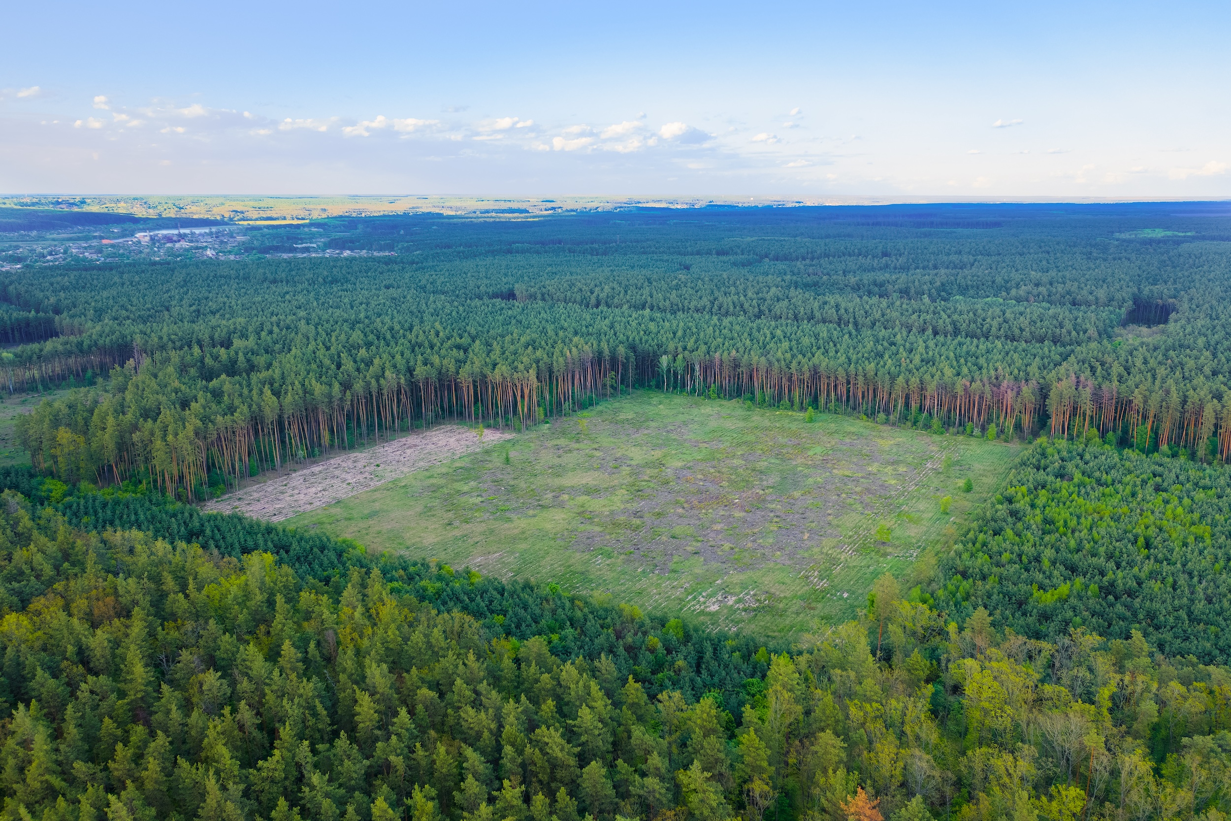 SFC Terrain Works provides Precision Site Preparation in Pine County, MN. Ready your land for building and access.