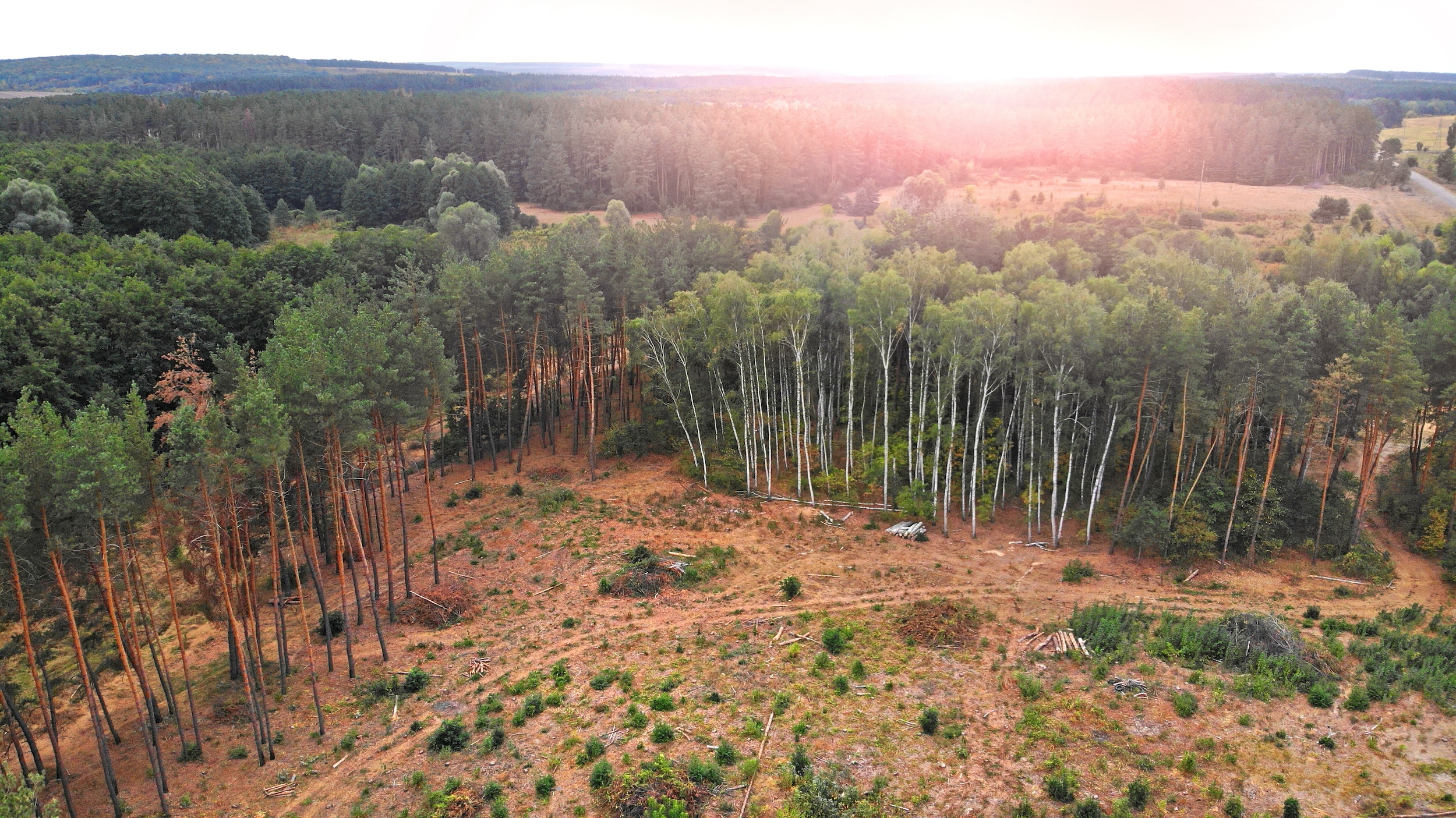 SFC Terrain Works provides Precision Site Preparation in Pine County, MN. Ready your land for building and access.