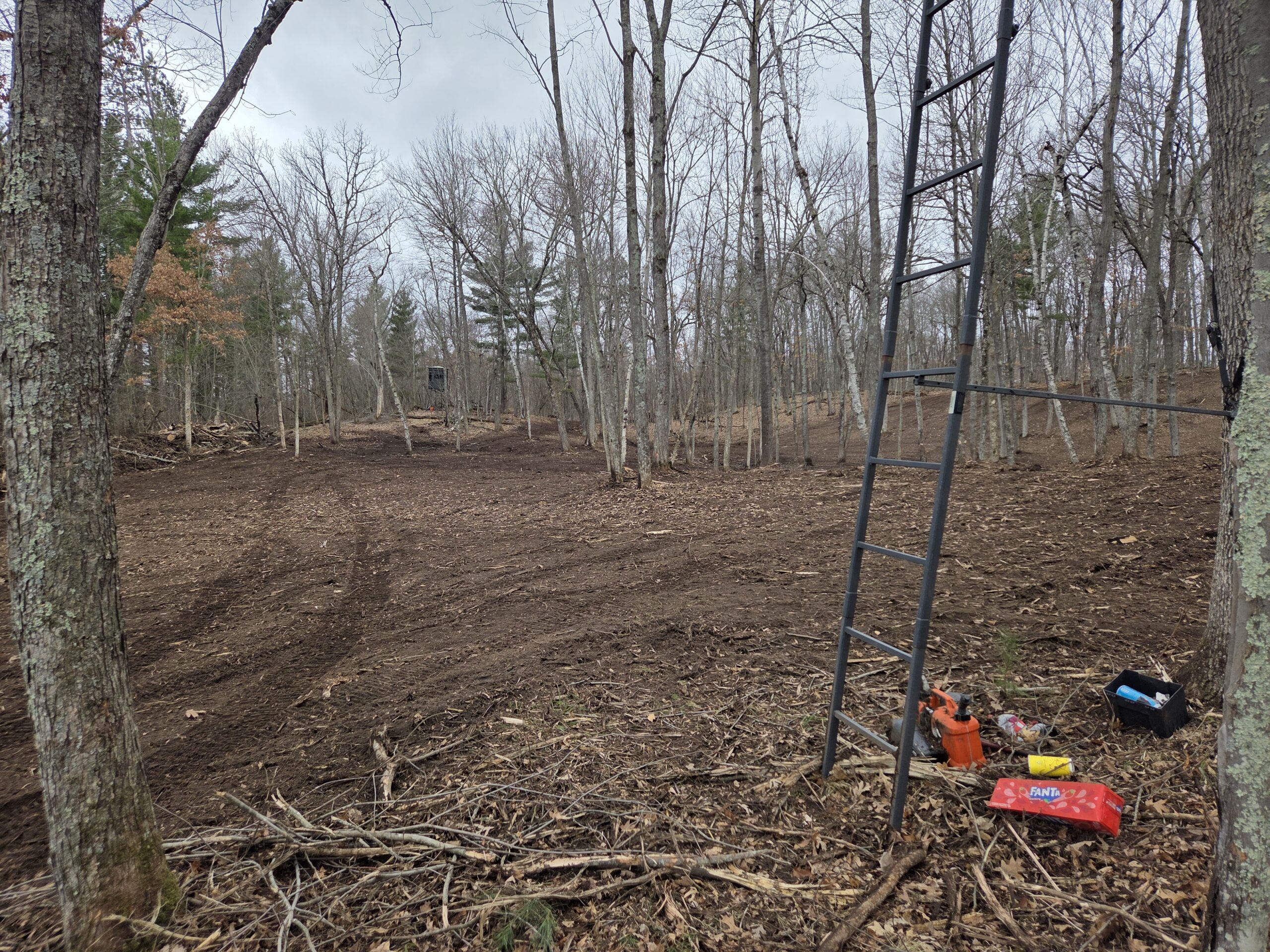 Professional Forestry Mulching in Pine County, MN