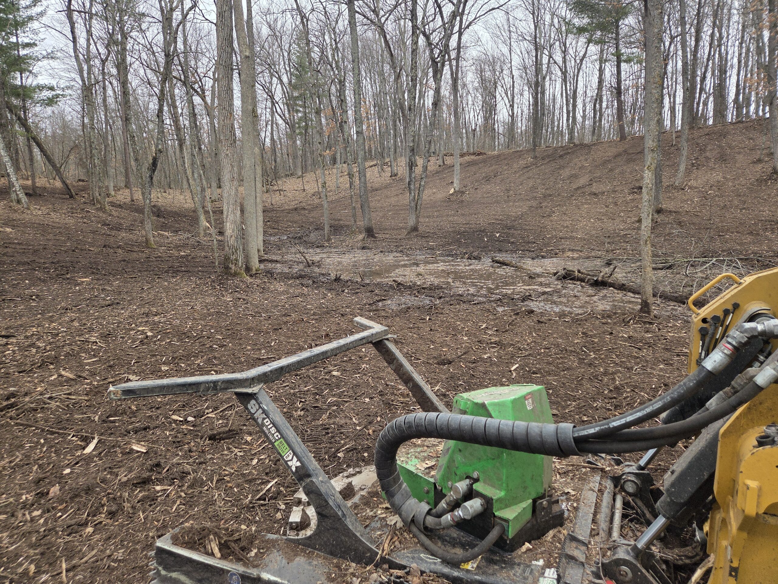 Professional Forestry Mulching in Pine County, MN