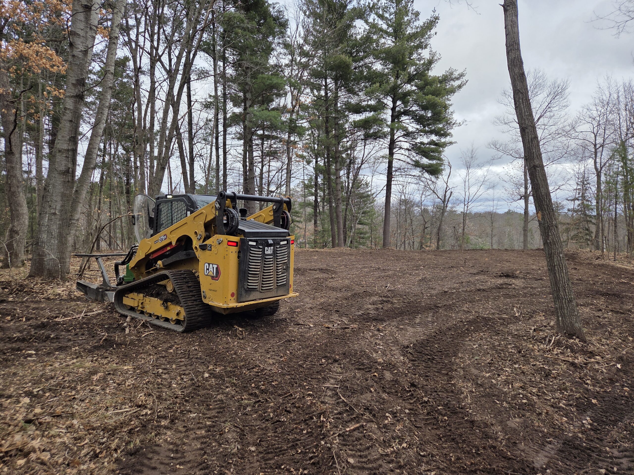 Dependable Professional Forestry Mulching in Pine County, MN