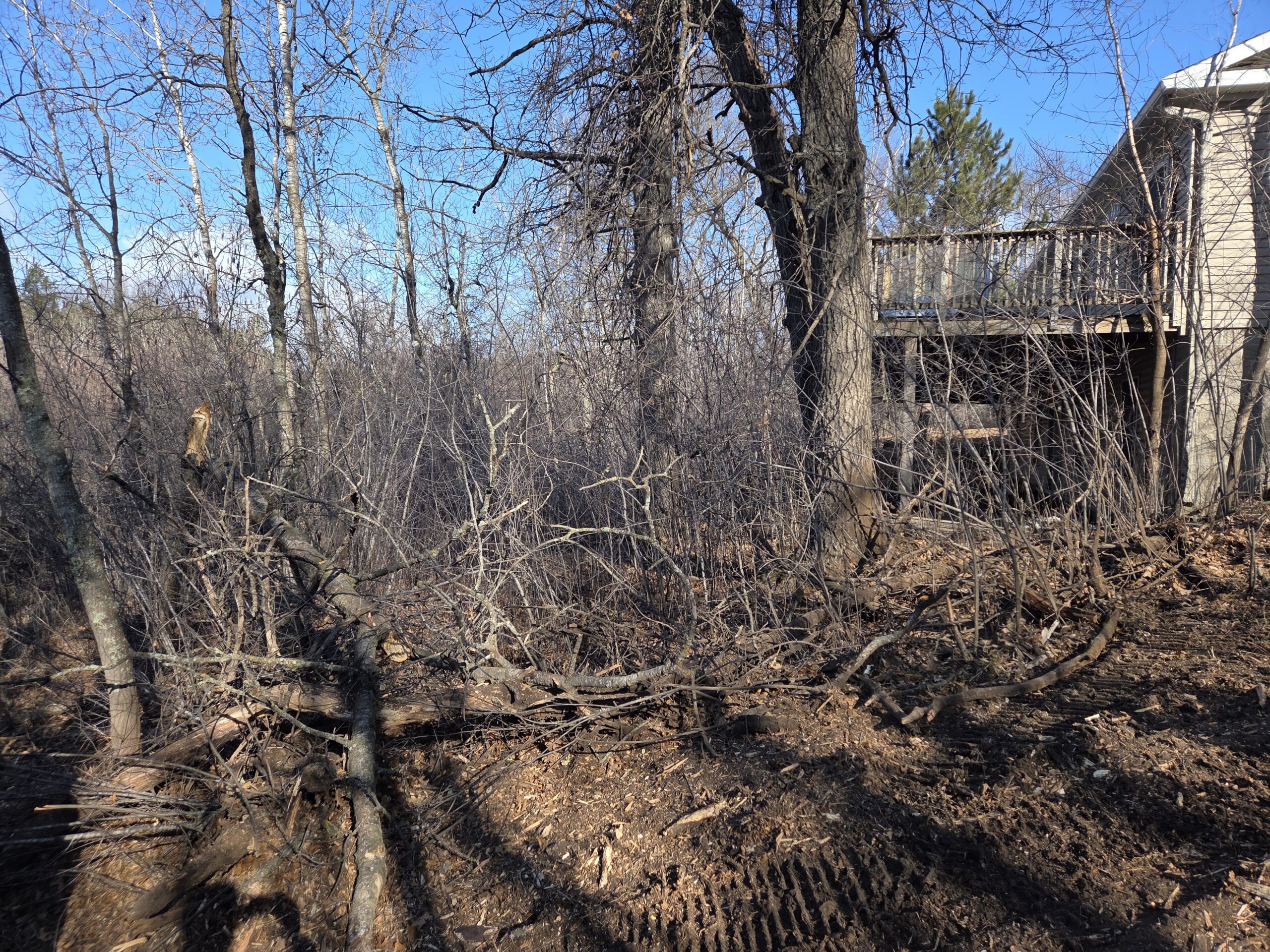 Dependable Professional Forestry Mulching in Pine County, MN