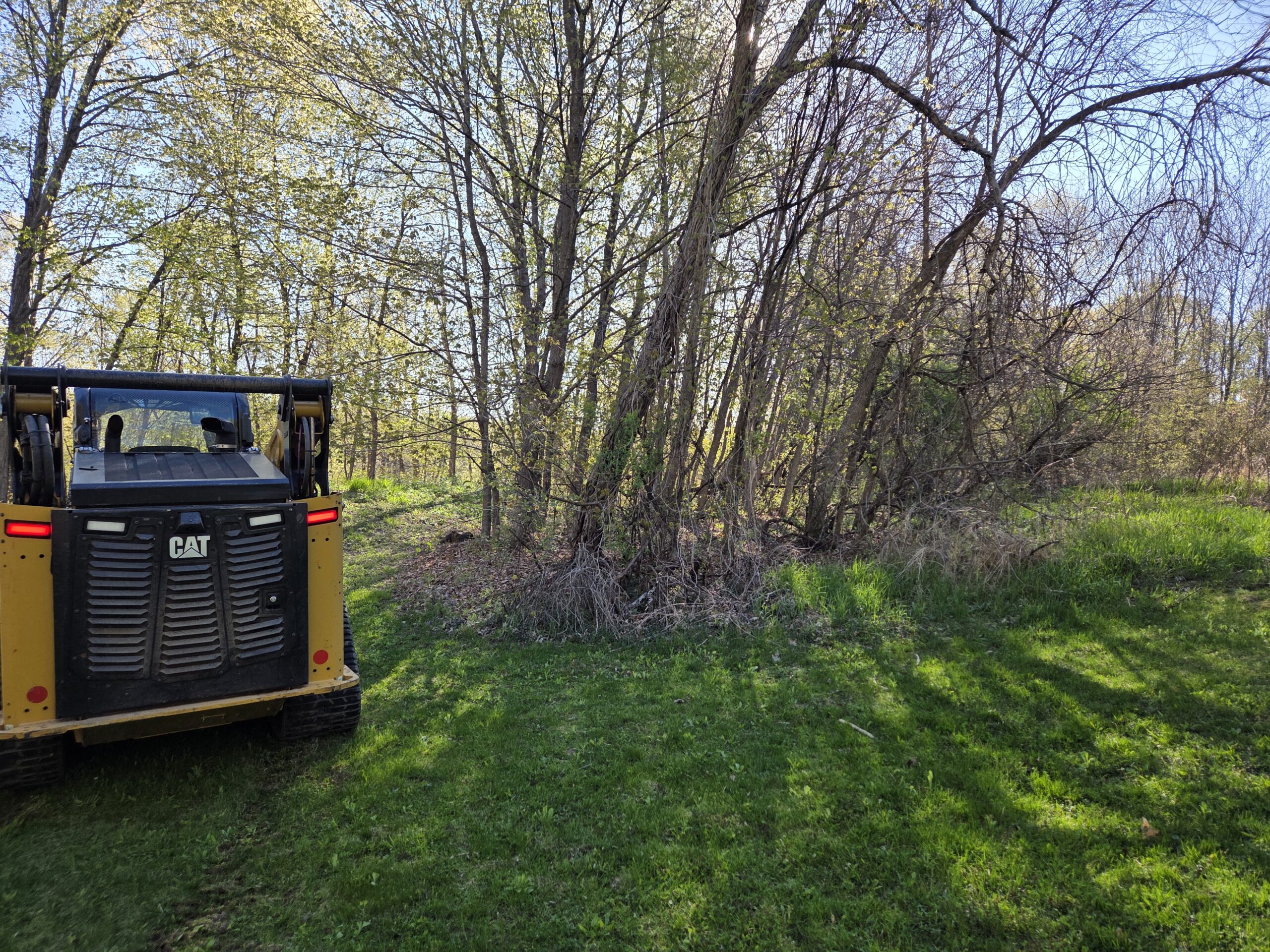 Dependable Professional Forestry Mulching in Pine County, MN